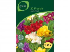 BULBE FREESIAS DOUBLE MELANGE 5+ SACHET 20