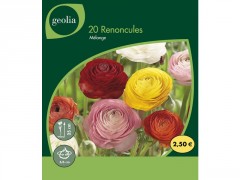 BULBE RANONCULUS MELANGE 5/6 SACHET 20