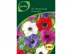 BULBE ANEMONES DE CAEN MELANGE 6/7 SACHET 20
