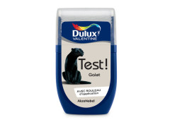 TESTEUR PEINTURE DULUX GALET 30ML