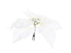 DECO NOEL SUR CLIP POINSETTIA POLYESTER BORD PAILLETTE D24 H7CM BLANC