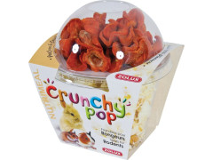 FRIANDISE RONGEUR CRUNCHY POP CORN CAROTTE 43G