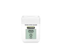 TESTEUR PEINTURE INTERIEURE VERT CACTUS6 LUXENS SATIN 0.050L