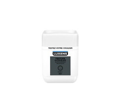 TESTEUR PEINTURE INTERIEURE GRIS PARIS 1 LUXENS MAT 0.05L