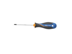 TOURNEVIS TX T25 X 100 MANCHE PLASTIQUE CARTE
