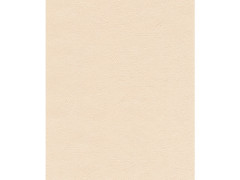 PAPIER PEINT VINYLE INTISSE BETON METAL BLANC CALCAIRE 4 INSPIRE