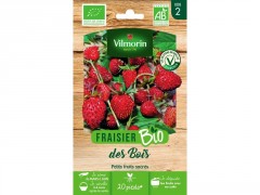 FRAISIER DES BOIS SACHET SERIE 2 VILMORIN