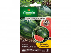 PASTEQUE MINI LOVE SACHET SERIE 2 VILMORIN