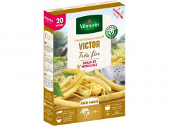 HARICOT VICTOR BOITE SERIE 20M VILMORIN