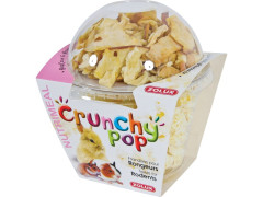 FRIANDISE RONGEUR CRUNCHY POP CORN POMME 33G