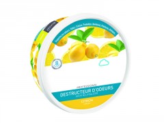 DESTRUCTEUR D'ODEUR GEL BOLDAIR CITRON 300GR