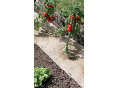 TOILE CHANVRE 500GR  0,49X3M
