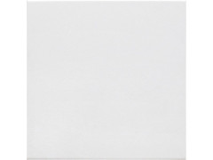 CARRELAGE SOL ET MUR NEO GATSBY 20X20 CM BLANC 1,42M2