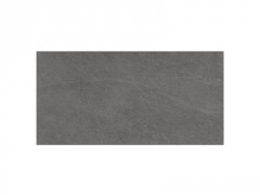 CARRELAGE SOL ET MUR EXTERIEUR QUARTZITE 30X60 CM GRIS MOYEN 1,54M2