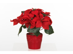 POINSETTIA CACHE-POT CERAMIQUE ROUGE