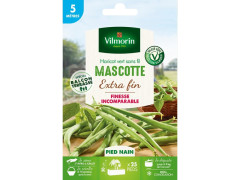 HARICOT MASCOTTE SACHET SERIE 5M VILMORIN