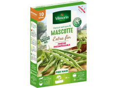 HARICOT MASCOTTE BOITE SERIE 10M VILMORIN