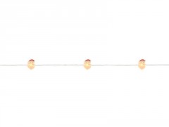 GUIRLANDE LUMINEUSE INT DECO 20 MICROLED BLC CHAUD PILE CABLE ARG 1.9M