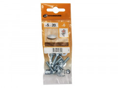BOULON TETE RONDE COU CARRE AZ B20 STANDERS 5X20 X6
