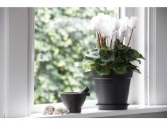 POT PLASTIQUE NOIR DIAMETRE 11