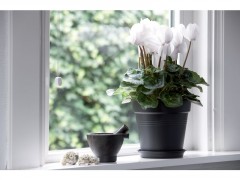 SOUCOUPE PLASTIQUE NOIR DIAMETRE 10