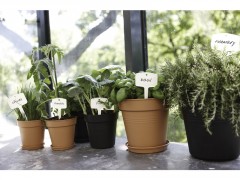 SOUCOUPE PLASTIQUE NOIR DIAMETRE 29