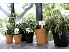 POT POLYPROPYLENE BLANC DIAMETRE 40