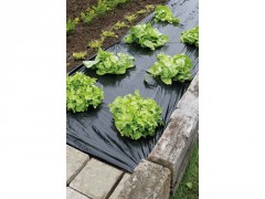 FILM PAILLAGE POTAGER GEOLIA 1,40X10M