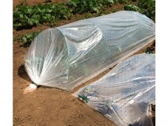 FILM FORCAGE POTAGER 2X5M GEOL