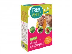 ELEVAGE DE COCCINELLES KIT