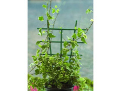 TUTEUR ECHELLE EMBOITABLE 50CM