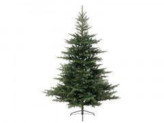 SAPIN GRANDIS HAUTEUR 150CM AVEC 1038 BRANCHES DIAMETRE MAXIMUM 111CM