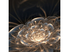 PLEXIGLASS FLEUR DE LUMIERE 90X90