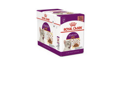 PATEE CHAT ROYAL CANIN SENSORY TASTE SAUCE 12X85G