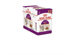PATEE CHAT ROYAL CANIN SENSORY TASTE GELEE 12X85G