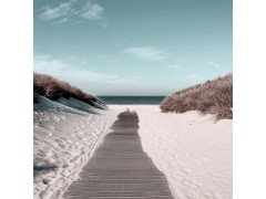TOILE 30X30 CHEMIN SABLE