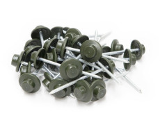 CLOU PLAQUE BITUME VERT 100 PIECES SAC