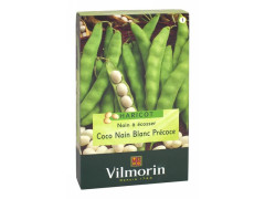 HARICOT COCO NAIN BLANC PRECOCE SERIE 1