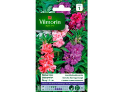 BALSAMINE CAMELIA DOUBLE VARIEE SACHET SERIE 1 VILMORIN