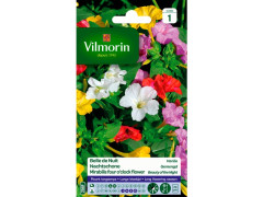 BELLE DE NUIT VARIEE SACHET SERIE 1 VILMORIN
