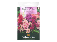 GIROFLEE D HIVER DE NICE VARIEE SACHET SERIE 1 VILMORIN