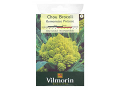 GRAINE POTAGERE CHOU ROMANESCO PRECOCE VILMORIN 2G