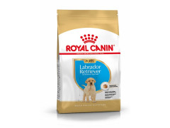 CROQUETTE CHIEN ROYAL CANIN LABRADOR JUNIOR 3KG
