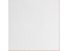 DALLES T141 BLANC 10MM 2M²