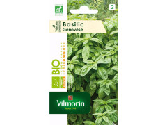 GRAINE AROMATIQUE BASILIC GENOVESE BIO VILMORIN 1G