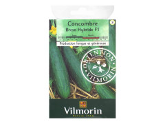 CONCOMBRE BRESO HF1 CREATION VILMORIN SACHET SERIE 3 VILMORIN