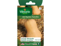 COURGE WALTHAM BUTTERNUT SACHET SERIE 2 VILMORIN