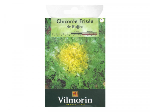 CHICOREE FRISEE DE RUFFEC SACHET SERIE 1 VILMORIN