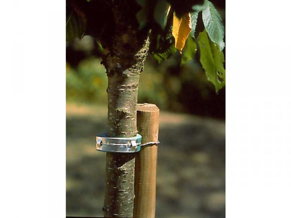 COLLIER MOUSSE LIEN METAL 60CM POUR ARBRE 30CM