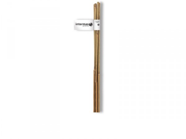 TUTEUR BAMBOU NATUREL HAUTEUR 1M50 DIAMETRE 10-12MM LOT 2